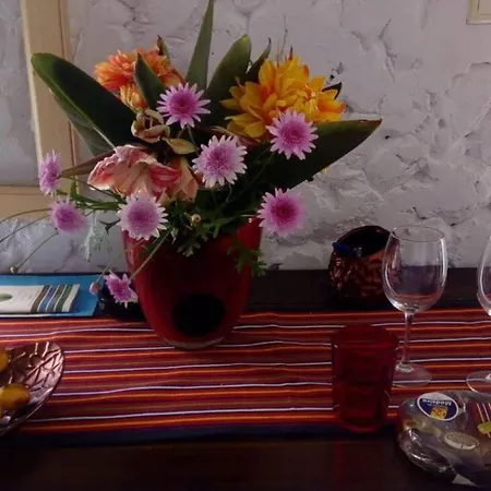 Apartamento House With One Bedroom In With Furnished Garden And Wifi *